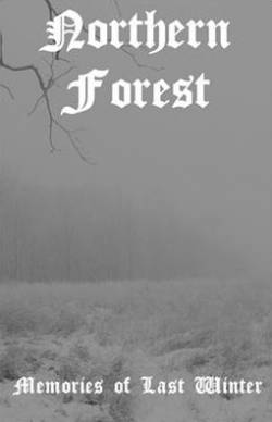 Northern Forest : Memories of Last Winter